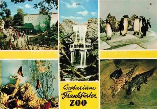 AK / Ansichtskarte Zoo Gardin Zoologique-- Frankfurt Main Pinguine Krokodile 