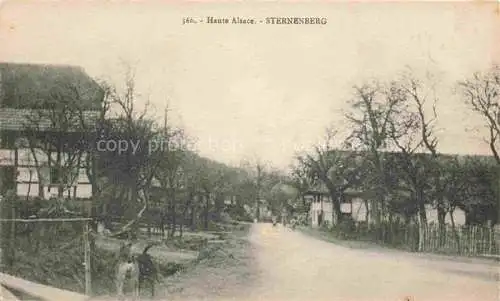 AK / Ansichtskarte Sterneuberg_Sternenberg_Altkirch_68_Haut Rhin Ortspartie 