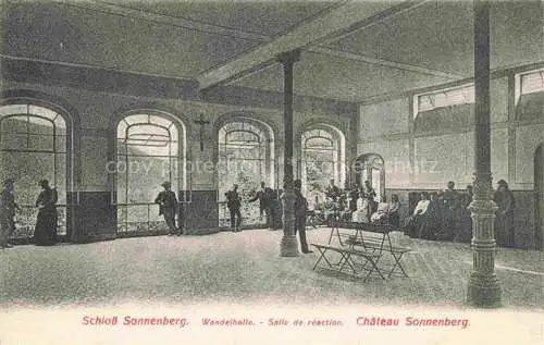 AK / Ansichtskarte Carspach_Karspach_Altkirch_68_Haut Rhin Schloss Sonnenberg Wandelhalle 