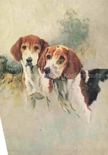 AK / Ansichtskarte Hunde_dogs_chiens   Beagle 