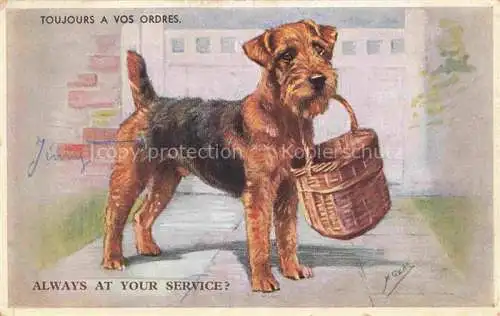 AK / Ansichtskarte Hunde_dogs_chiens   Airedale Terrier Korb 