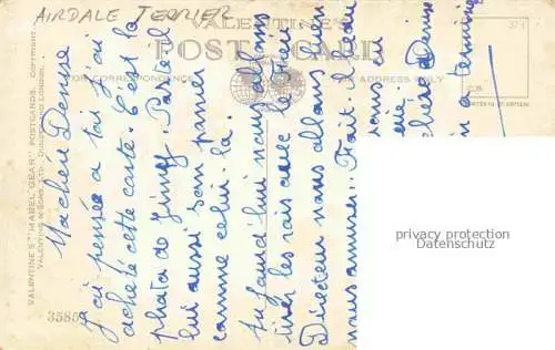 AK / Ansichtskarte Hunde_dogs_chiens   Airedale Terrier Korb 