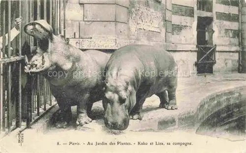 AK / Ansichtskarte Hippos_Nilpferde_Hipopptamos_Hippopotammi_   Paris Jardin Plantes Kako Liza 