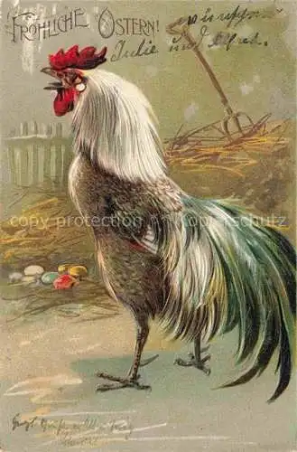 AK / Ansichtskarte Ostern_Easter_Paques_Pasqua   Hahn Litho 