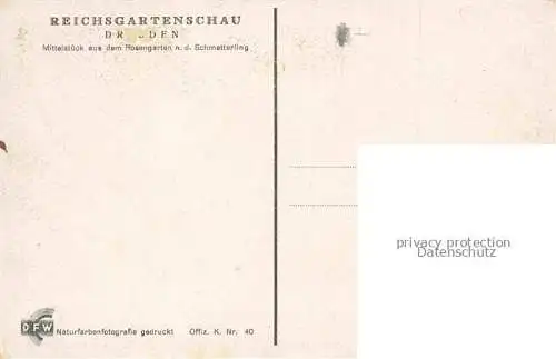 AK / Ansichtskarte Reichsgartenschau 1936 Jahresschau DRESDEN Rosengarten Schmetterling