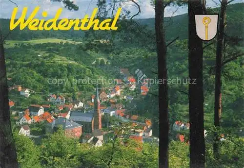 AK / Ansichtskarte Weidenthal Pfalz Panorama