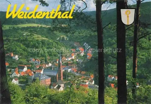 AK / Ansichtskarte Weidenthal Pfalz Panorama