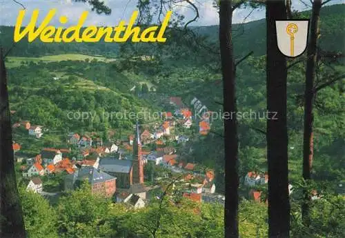 AK / Ansichtskarte Weidenthal Pfalz Panorama