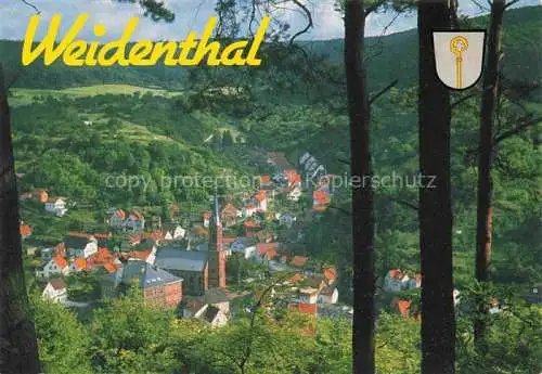 AK / Ansichtskarte Weidenthal Pfalz Panorama