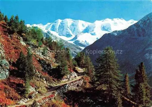 AK / Ansichtskarte Piz_Palue_3905m_GR und Bellavista Hoehenweg 
