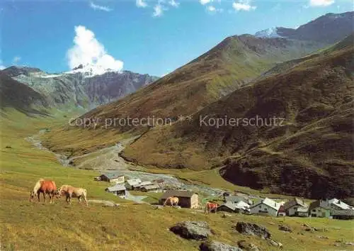 AK / Ansichtskarte Avers Juf_GR mit Forcellina und Piz Turba 