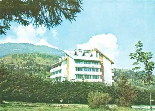 AK / Ansichtskarte Borsa Maramures RO Pavillon Bradet