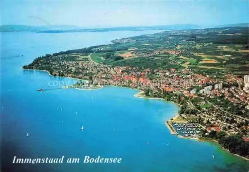 AK / Ansichtskarte Immenstaad Bodensee Fliegeraufnahme