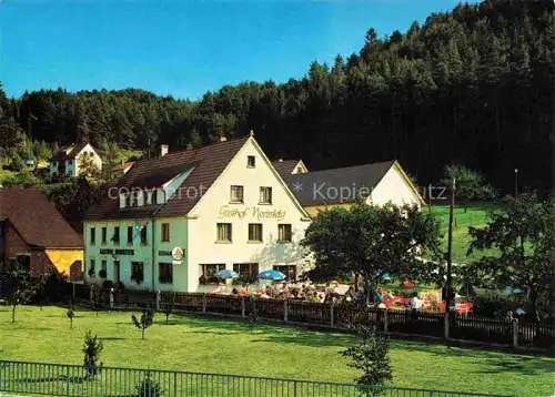 AK / Ansichtskarte Hirschbach Frankenalb Oberpfalz Gasthof Pension Norissteig