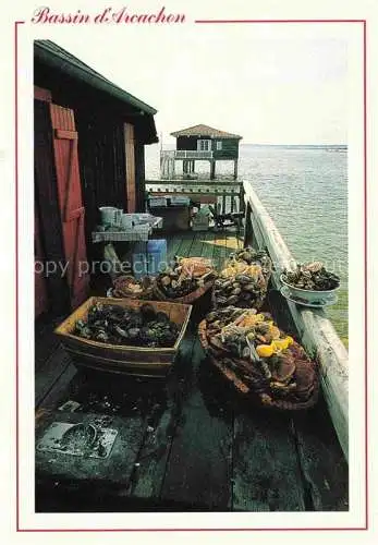 AK / Ansichtskarte Gironde sur Dropt Ile aux Oiseaux Les fruits de mer Gironde sur Dropt