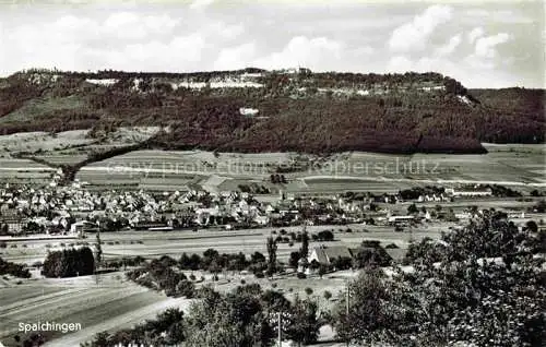 AK / Ansichtskarte Spaichingen Panorama Blick zum Dreifaltigkeitsberg Claretiner Missionshaus