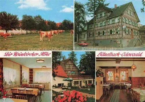 AK / Ansichtskarte Luetzelbach Odenwald Hessen Gasthaus Pension Café Zur Neunkircher Hoehe Gastraum Garten Viehweide