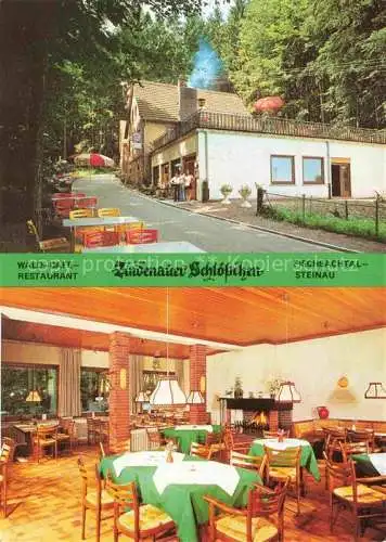AK / Ansichtskarte Steinau Fischbachtal Odenwald Hessen Waldcafé Restaurant Zindenauer Schloesschen Kaminzimmer