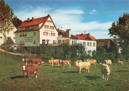 AK / Ansichtskarte Winterkasten Lindenfels Hessen Gasthaus Pension zur Traube Viehweide Kuehe