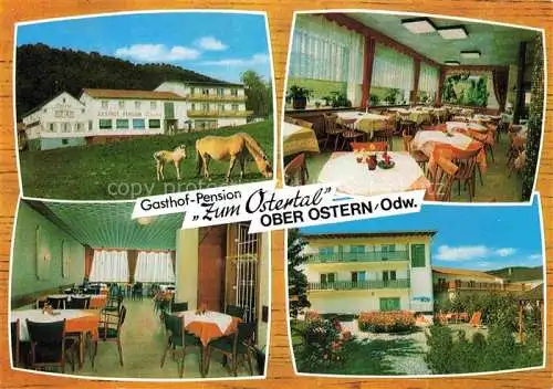 AK / Ansichtskarte Ober-Ostern Reichelsheim Odenwald Gasthof Pension Ostertal Restaurant Garten Pferdekoppel