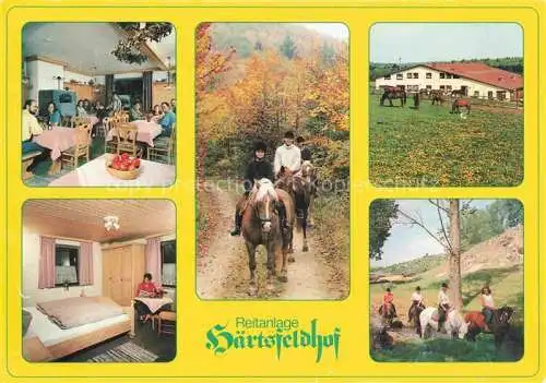 AK / Ansichtskarte Bopfingen Ipf Hotelpension Reitanlage Haertsfeldhof Ausritte Pferdekoppel