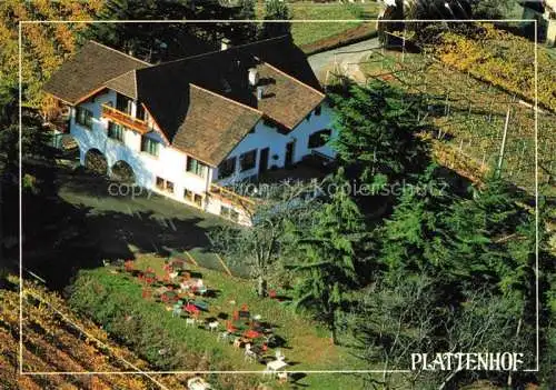 AK / Ansichtskarte Tramin Suedtirol IT Gasthof Plattenhof