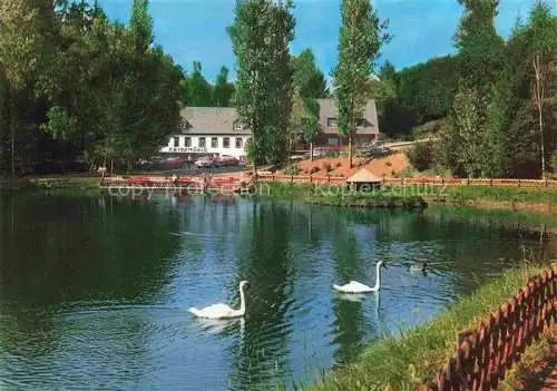 AK / Ansichtskarte Manderscheid Eifel Cafe Restaurant Hotel Heidsmuehle Schwanenteich