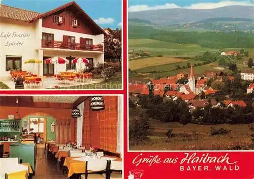 AK / Ansichtskarte Haibach Bayrischer Wald Schoenberg Bayern Cafe Pension Spinter Terrasse Gaststube Panorama