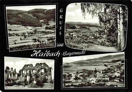 AK / Ansichtskarte Haibach Bayrischer Wald Schoenberg Bayern Panorama Ruine