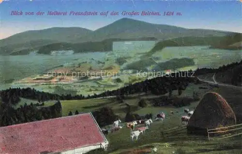 AK / Ansichtskarte Grosser_Belchen_1424m_Grand Ballon_Guebwiller_68_Haut Rhin Blick von der Melkerei Freundstein 