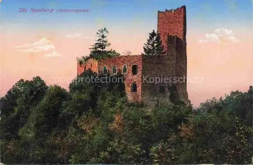 AK / Ansichtskarte Andlau_Selestat Erstein_67_Bas Rhin Die Spesburg 