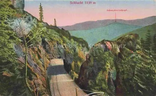 AK / Ansichtskarte La_Schlucht_1150m_Gerardmer_88_Vosges mit Schnepfenriedkopf 