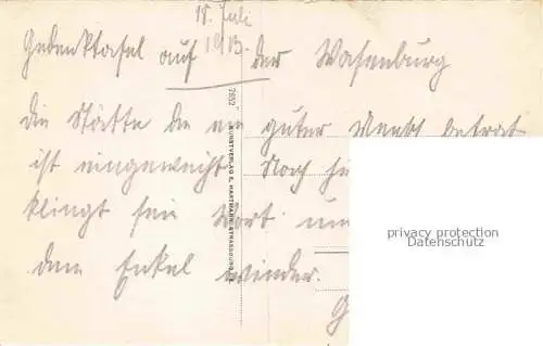 AK / Ansichtskarte Niederbronn_Bad_Niederbronn les Bains_67_Bas Rhin Die Wasenburg 