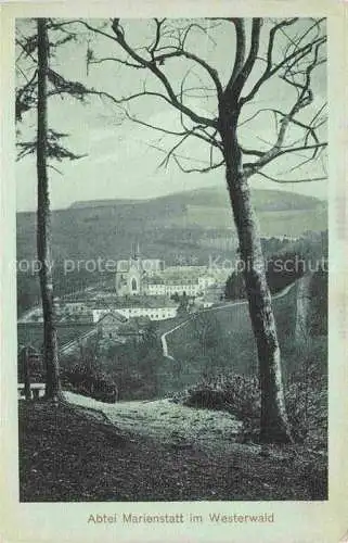 AK / Ansichtskarte Marienstatt Westerwald Abtei Panorama