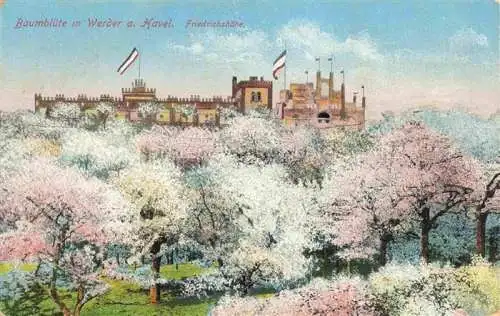 AK / Ansichtskarte Werder Havel Friedrichshoehe Baumbluete