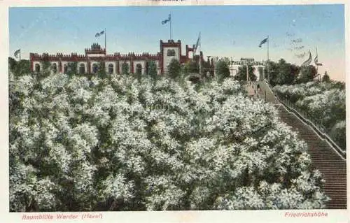 AK / Ansichtskarte Werder Havel Friedrichshoehe Baumbluete