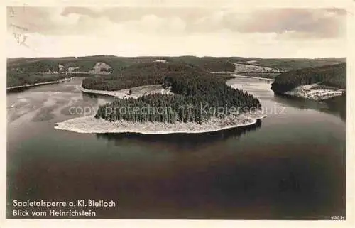 AK / Ansichtskarte Schoenbrunn Saalburg-Ebersdorf Saaletalsperre am Kleinen Bleiloch Blick vom Heinrichstein