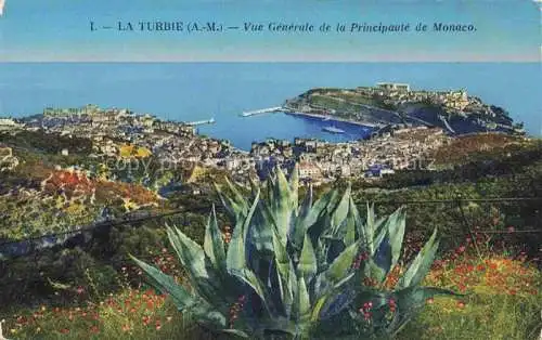 AK / Ansichtskarte La_Turbie_NICE_06_Alpes Maritimes Vue generale de la Principaute de Monaco 