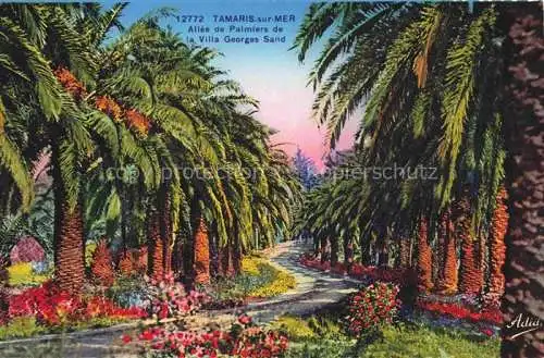 AK / Ansichtskarte Tamaris_sur_Mer_Seyne sur Mer_83_Var Allee de Palmiers de la Villa Georges Sand 