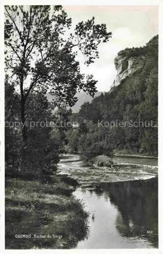 AK / Ansichtskarte Goumois_Franches Montagnes_JU Rocher du Singe 
