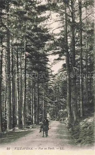 AK / Ansichtskarte Vizzavona_CORTE_2B_Haute Corse Vue en Foret 
