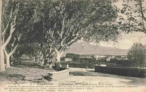 AK / Ansichtskarte Carpentras_84_Vaucluse La Promenade des Platanes et route de St Didier 