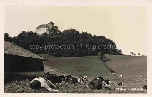 AK / Ansichtskarte Gruyeres__Gruyere_Greyerz_FR Chateau Schloss Viehweide 