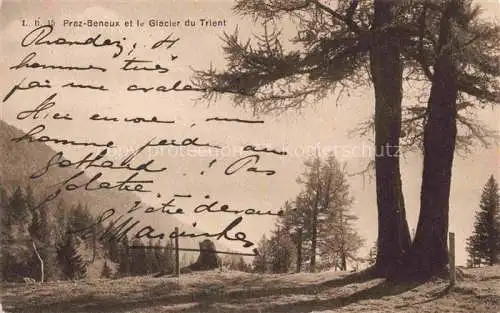 AK / Ansichtskarte Beneux_Praz_Les_74_Haute Savoie et le Glacier du Trient 