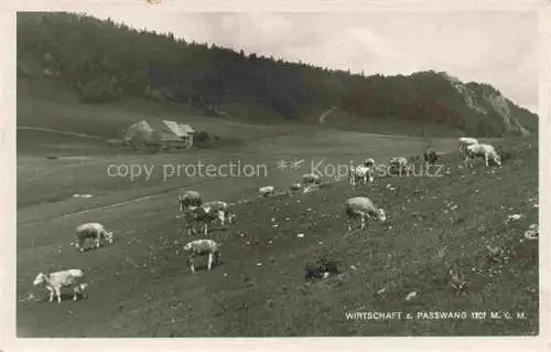 AK / Ansichtskarte Passwang_Balsthal_SO Bergwiesen Almvieh Wirtschaft 