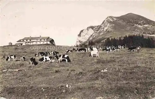 AK / Ansichtskarte Moleson sur Gruyeres_FR Chalet du Gros Plane Viehweide Bergwiesen 