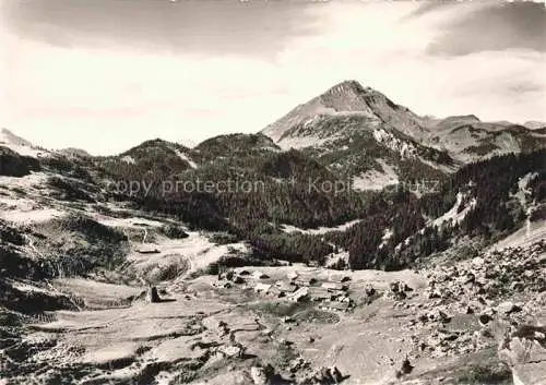 AK / Ansichtskarte Chatel_Thonon les Bains_74_Haute Savoie Vue panoramique Plaine Dranse et le Mont de Grange 