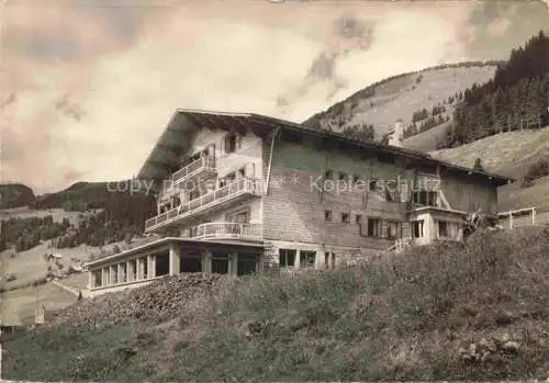 AK / Ansichtskarte Chatel_Thonon les Bains_74_Haute Savoie Hotel Restaurant Plein Soleil 