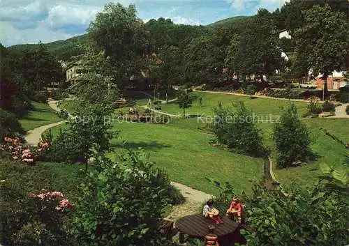 AK / Ansichtskarte Lindenberg Pfalz Park