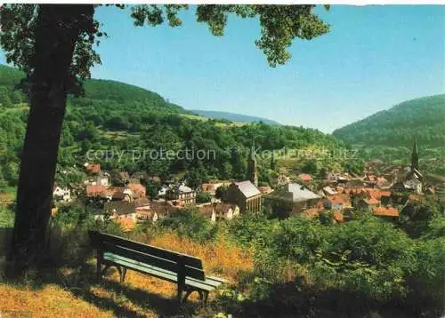 AK / Ansichtskarte Weidenthal Pfalz Naturpark Panorama